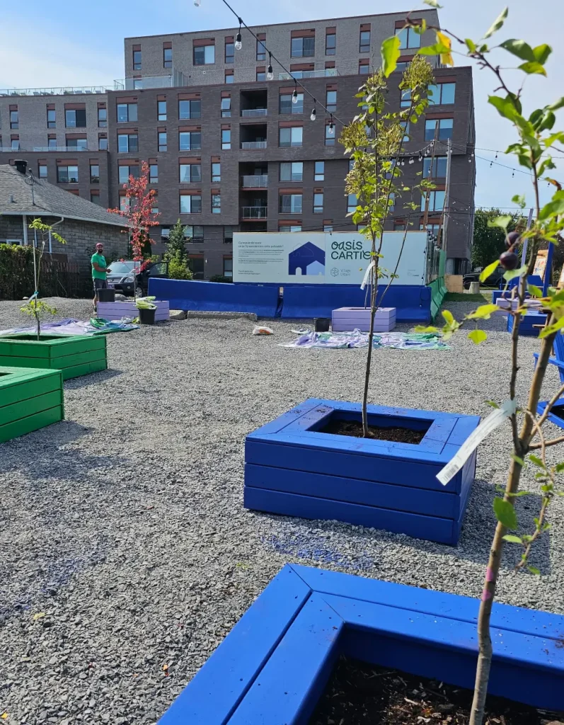 Jeunes arbres plantés dans l'Oasis Cartier