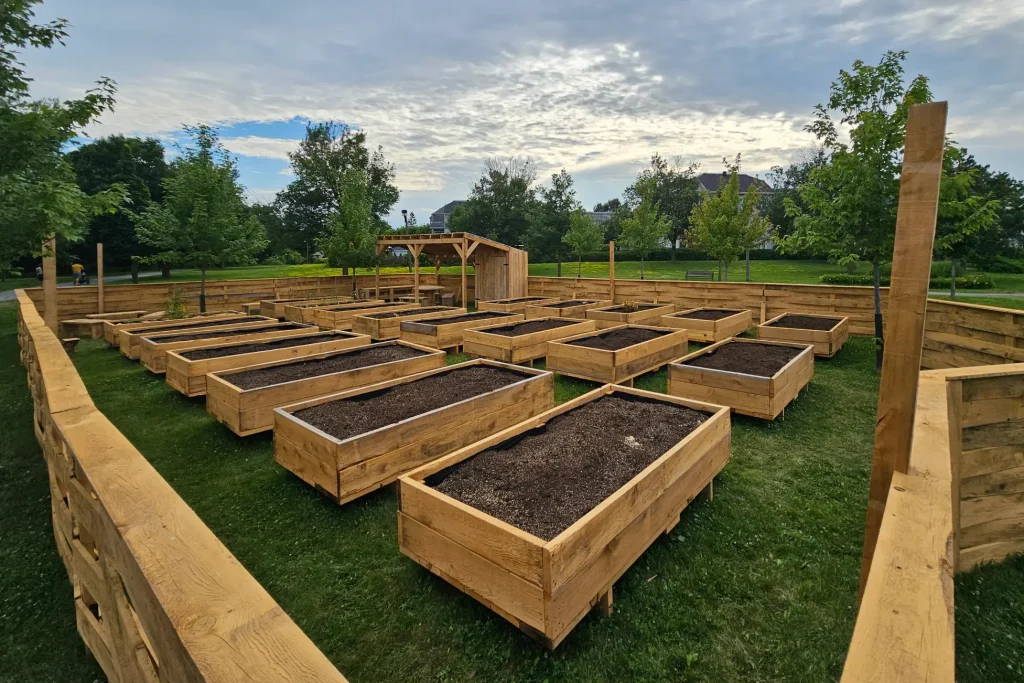 Bacs potagers en bois alignés sur gazon dans un espace communautaire