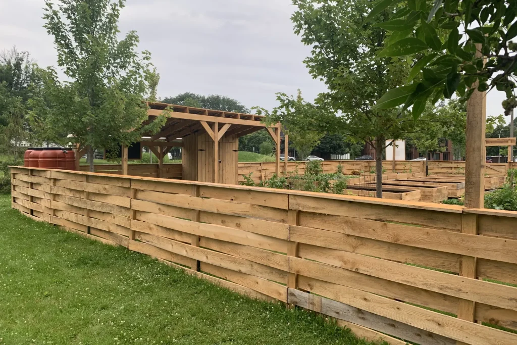 Clôture en bois brut encadrant un jardin communautaire