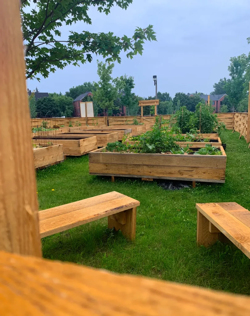 Bacs de culture et bancs publics dans un jardin communautaire verdoyant