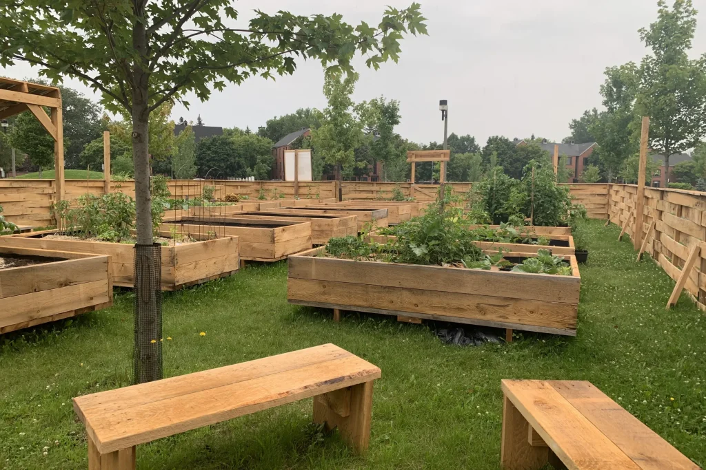 Jardins communautaires à Terrebonne avec bacs de culture en bois et bancs publics