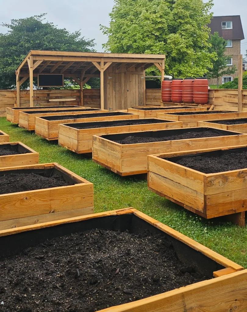 Jardin communautaire équipé de barils de récupération d'eau de pluie