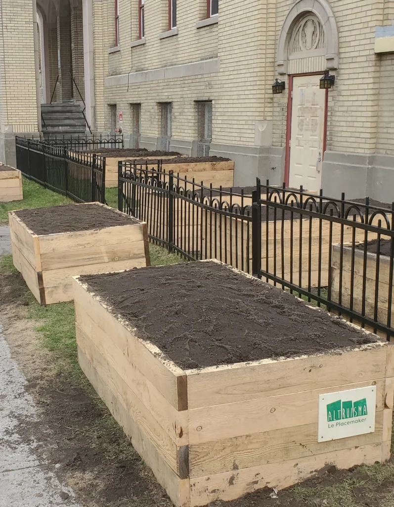 Suite de bacs en bois prêts pour plantation devant bâtiment patrimonial à Montréal